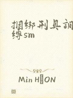 捆绑刑具调教束缚sm封面