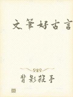 文笔好古言封面