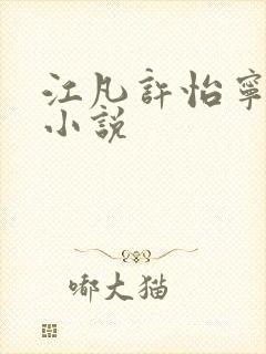 江凡许怡宁免费小说