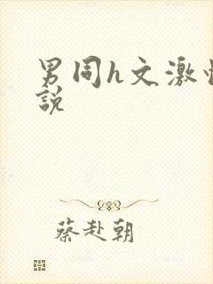 男同h文激情小说