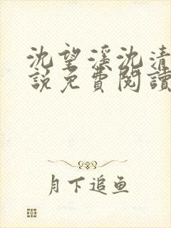 沈望溪沈清若小说免费阅读最新章节封面