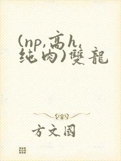 (np,高h,纯肉)双龙