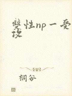 双性np一受多攻