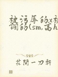 被污辱的x被禁锢的(sm,高h,强制爱)(繁/简)
