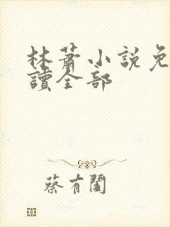 林萧小说免费阅读全部封面