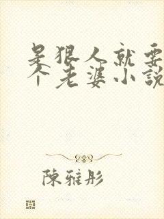 是狠人就要娶四个老婆小说阅读