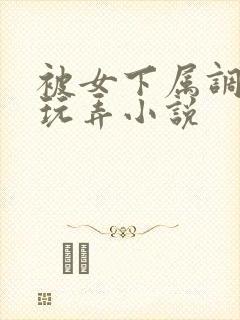 被女下属调教h玩弄小说封面