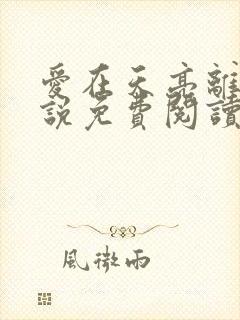 爱在天亮离开小说免费阅读