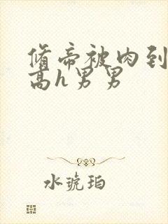 修帝被肉到失禁高h男男封面