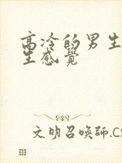 高冷的男生给女生感觉封面