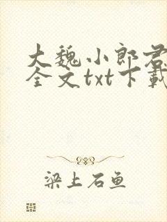 大魏小郎君下载全文txt下载