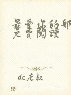 最爱你的那十年免费阅读