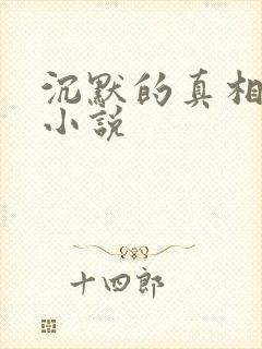 沉默的真相原著小说封面