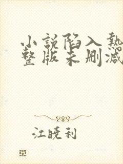 小说陷入热恋完整版未删减小说