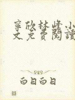 宁欣林峰小说全文免费阅读无弹窗封面