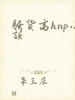 骚货高hnp小说