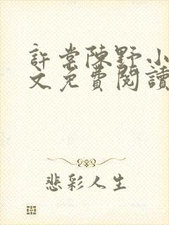 许棠陈野小说全文免费阅读封面