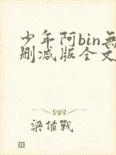 少年阿bin无删减版全文阅读