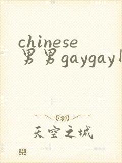 chinese男男gaygay网