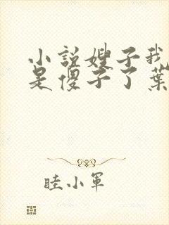 小说嫂子我真不是傻子了叶凡免费全文阅读封面