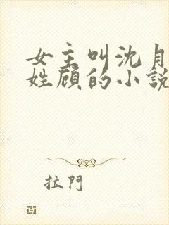 女主叫沈月男主姓顾的小说