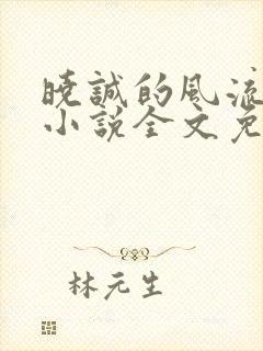 晓诚的风流人生小说全文免费阅读最