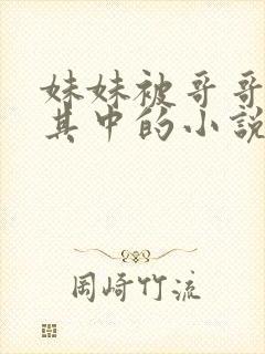 妹妹被哥哥插入其中的小说