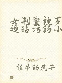 女刑警被歹徒强迫玷污的小说片段封面