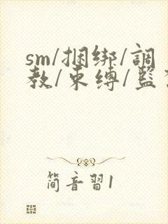 sm/捆绑/调教/束缚/监禁/羞辱/虐待