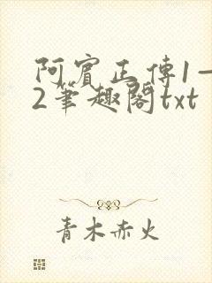 阿宾正传1—72笔趣阁txt封面