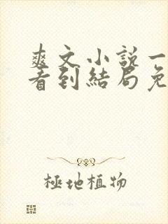 爽文小说一口气看到结局免费