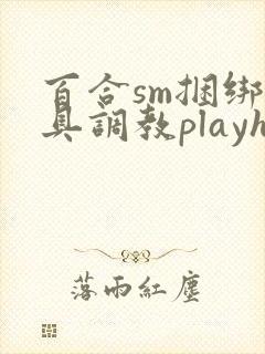 百合sm捆绑道具调教playh