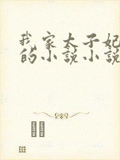 我家太子妃超凶的小说小说