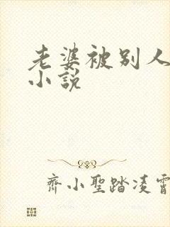 老婆被别人调教小说