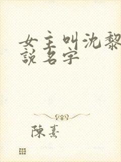 女主叫沈黎的小说名字