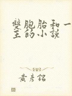 双胞胎和一个女主的小说