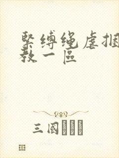 紧缚绳虐捆绑调教一区