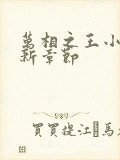 万相之王小说最新章节