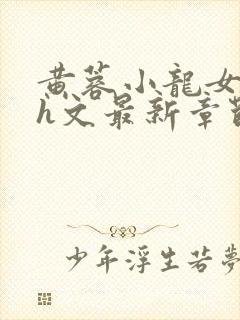 黄蓉小龙女双修h文最新章节列表封面