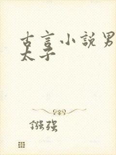 古言小说男主是太子封面