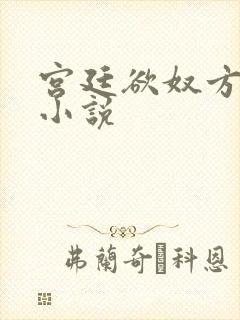 宫廷欲奴方才人小说