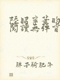 陆昭宁萧昀免费阅读无弹窗封面