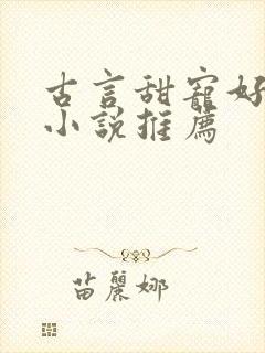 古言甜宠好看的小说推荐封面