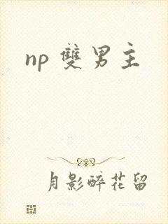 np 双男主