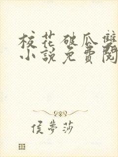 校花破瓜双飞记小说免费阅读全文