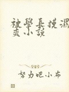 被学长摸湿奶好爽小说