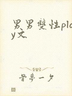 男男双性play文