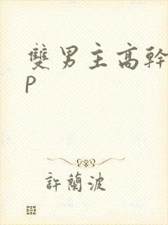 双男主高干文np