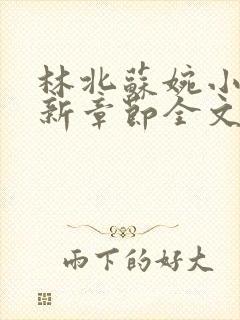 林北苏婉小说最新章节全文阅读