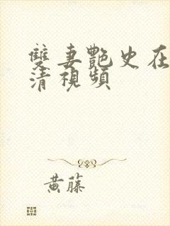 双妻艳史在线高清视频